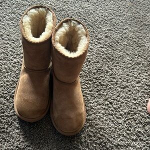 Chestnut Uggs